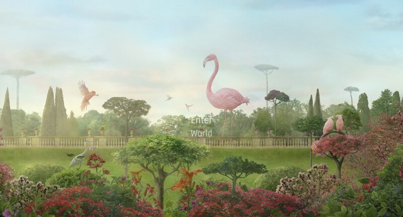 ニコリナ・ペロタスのポートフォリオ（ポートフォリオボックス上）