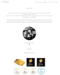 「Portfolioboxウェブサイトビルダーを使用して作成されたサンプルサイトのスクリーンショット。」