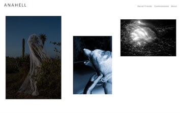 「Portfolioboxウェブサイトビルダーを使用して作成されたサンプルサイトのスクリーンショット。」