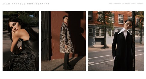 「Portfolioboxウェブサイトビルダーを使用して作成されたサンプルサイトのスクリーンショット。」