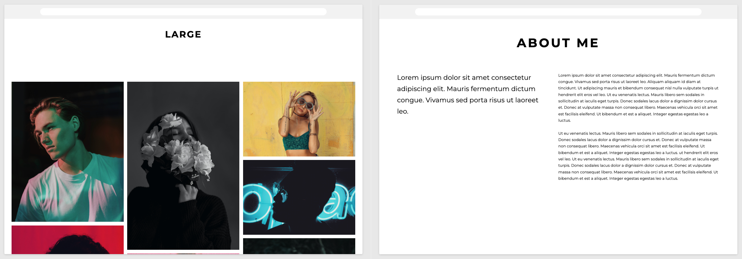 Portfoliobox Template settings - Large